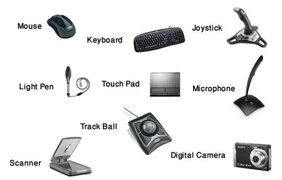 difference between hardware and software