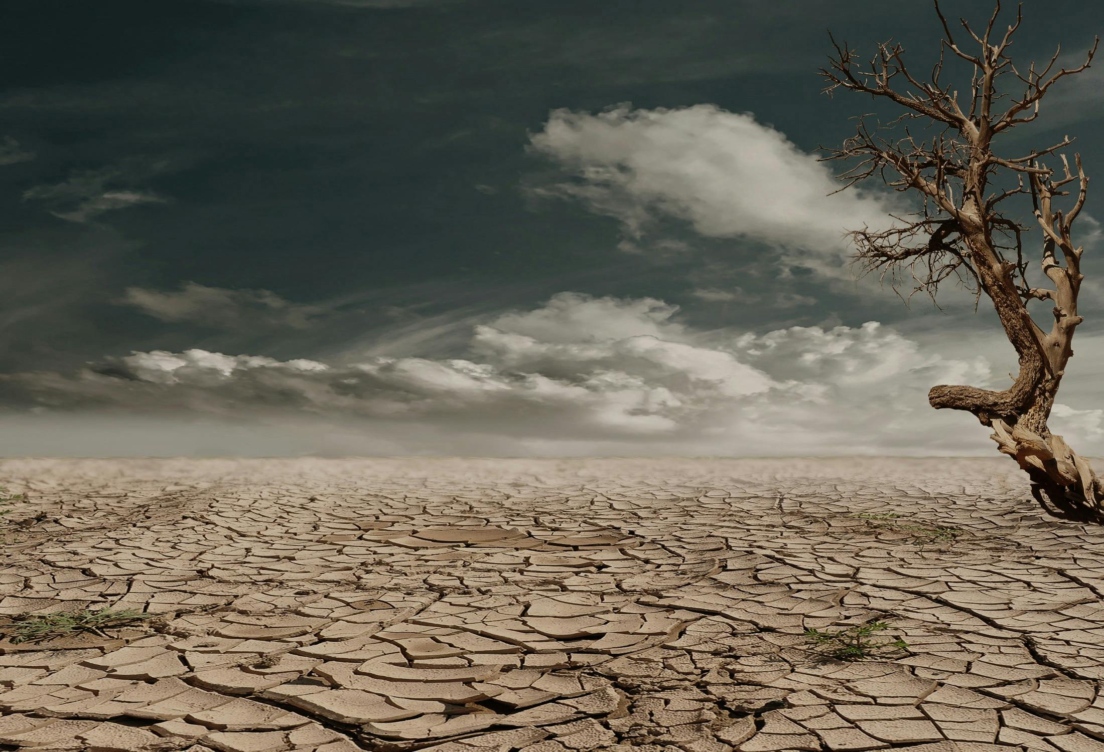 Difference Between Weather and Climate
